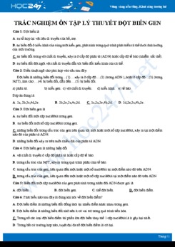 40 Câu hỏi trắc nghiệm ôn tập lý thuyết đột biến gen Sinh học 12 năm 2020 có đáp án