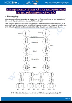 Phương pháp xác định giao tử khi xảy ra trao đổi đoạn tại hai điểm không cùng lúc Sinh học 12