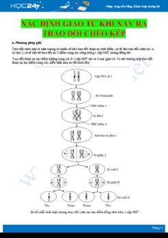 Phương pháp xác định số kiểu giao tử khi xảy ra trao đổi chéo kép Sinh học 12