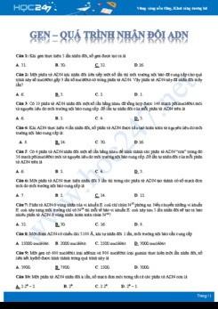 Bài tập trắc nghiệm ôn tập chuyên đề gen, nhân đôi ADN Sinh học 12 mức độ vận dụng có đáp án