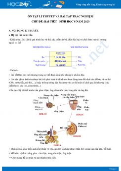 Ôn tập lí thuyết và bài tập trắc nghiệm chủ đề bài tiết Sinh học 8 năm 2020 có đáp án