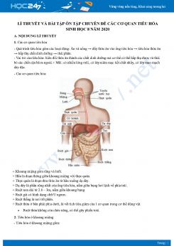 Lí thuyết và bài tập ôn tập chuyên đề các cơ quan tiêu hóa Sinh học 8 năm 2020