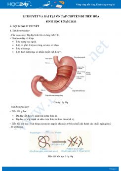 Lí thuyết và bài tập ôn tập chuyên đề tiêu hóa Sinh học 8 năm 2020 có đáp án