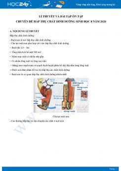 Lí thuyết và bài tập ôn tập chuyên đề Hấp thụ chất dinh dưỡng Sinh học 8 năm 2020 có đáp án