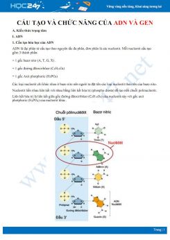 Lý thuyết và bài tập ôn tập cấu tạo và chức năng của ADN và Gen Sinh học 12