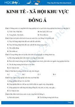 Câu hỏi trắc nghiệm ôn tập chủ đề kinh tế - xã hội các nước khu vực Đông Á Địa lí 8