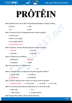 Bài tập trắc nghiệm ôn tập chủ đề Protein Sinh học 10 có đáp án