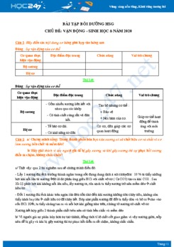 Bài tập bồi dưỡng HSG chủ đề Vận Động Sinh học 8 năm 2020 có đáp án