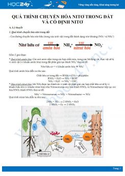 Tổng ôn Quá trình chuyển hóa nito trong đất và cố định nito Sinh học 11