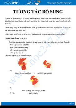 Phương pháp giải Các dạng bài tập về tương tác bổ sung Sinh học 12