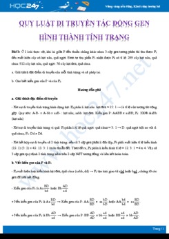 Hướng dẫn giải chi tiết Một số bài tập quy luật di truyền tác động đến gen Sinh học 12