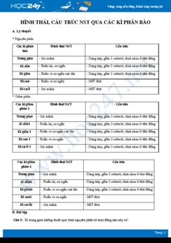 Lý thuyết áp dụng giải dạng bài tập Xác định hình thái, cấu trúc NST qua các kì phân bào Sinh 10