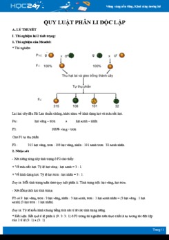 Tổng ôn các kiến thức về Quy luật phân li độc lập Sinh học 12