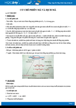 Kiến thức trọng tâm so sánh Cơ chế quá trình phiên mã và dịch mã Sinh học 12