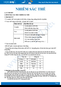 Tổng ôn các kiến thức chuyên đề Nhiễm sắc thể Sinh học 12