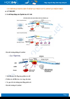 Lý thuyết và bài tập So sánh cơ chế điều hòa hoạt động gen ở sinh vật nhân sơ và nhân thực Sinh 12