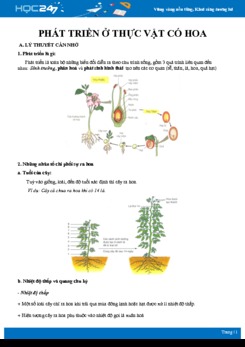 Lý thuyết và bài tập củng cố Quá trình phát triển ở các loài thực vật có hoa Sinh học 11