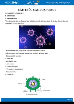 Lý thuyết và bài tập ôn tập Cấu tạo của các loại virut Sinh học 10