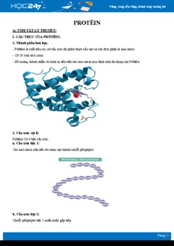 Tổng ôn Cấu trúc và đặc điểm của Protein Sinh học 10