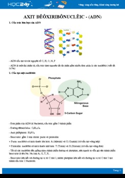 Kiến thức trọng tâm về Axit Đêoxiribônucleic (ADN) Sinh học 10
