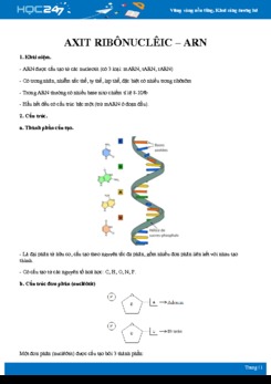 Tổng ôn các kiến thức về Axit Ribonucleic (ARN) Sinh học 10