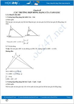Chuyên đề Các trường hợp đồng dạng của tam giác Toán 8