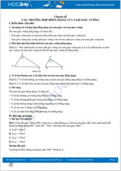 Chuyên đề Các trường hợp đồng dạng của tam giác vuông Toán 8