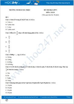 Bộ 5 đề thi HK2 môn Toán lớp 5 có đáp án Trường TH Bà Triệu