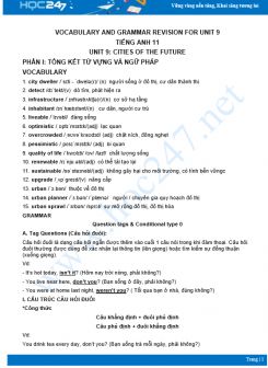 Vocabulary and Grammar Revision for Unit 9 Tiếng Anh 11