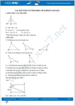 Các bài toán về tính diện tích hình tam giác có hướng dẫn giải chi tiết Toán lớp 5