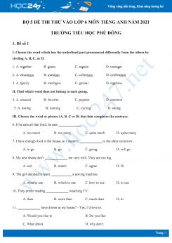 Bộ 5 đề thi thử vào lớp 6 môn Tiếng Anh năm 2021 Trường Tiểu học Phù Đổng