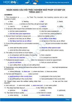 Ngân hàng câu hỏi trắc nghiệm ngữ pháp có đáp án Tiếng Anh 11