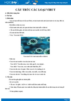 Chuyên đề Cấu trúc các loại virut Sinh học 10