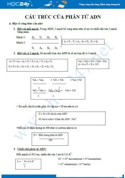 Luyện tập Cấu trúc của phân tử ADN Sinh học 12