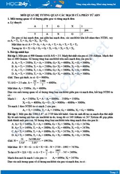 Phương pháp giải Các dạng bài về mối tương quan giữa các mạch của phân tử ADN Sinh 12