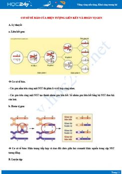 Tổng ôn Cở sở tế bào học của liên kết gen và hoán vị gen Sinh 12