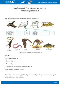 Bài tập tìm hiểu về sự tiến hóa của động vật môn Sinh học 7 có đáp án