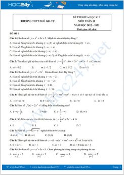 Bộ 5 đề thi giữa HK1 môn Toán 12 năm 2022-2023 có đáp án Trường THPT Ngô Gia Tự
