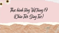 Soạn bài Thực hành tiếng Việt trang 19 tóm tắt - Chân trời sáng tạo Ngữ văn 10