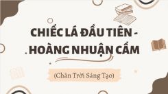 Soạn bài Chiếc lá đầu tiên - Hoàng Nhuận Cầm tóm tắt - Chân trời sáng tạo Ngữ văn 10