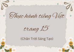 Soạn bài Thực hành tiếng Việt trang 15 tóm tắt - Chân trời sáng tạo Ngữ văn 10