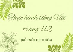 Soạn bài Thực hành tiếng Việt trang 112 tóm tắt - Kết nối tri thức Ngữ văn 10