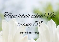 Soạn bài Thực hành tiếng Việt trang 59 tóm tắt - Kết nối tri thức Ngữ văn 10