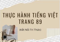 Soạn bài Thực hành tiếng Việt trang 89 tóm tắt - Kết nối tri thức Ngữ văn 10