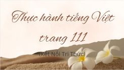 Soạn bài Thực hành tiếng Việt trang 111 tóm tắt - Kết nối tri thức Ngữ văn 10
