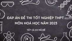 Đáp án tham khảo đề thi tốt nghiệp THPT môn Hoá học năm 2023 - Tất cả 24 mã đề