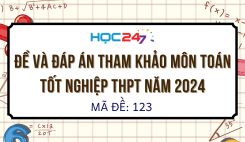 Đề thi và đáp án tham khảo môn Toán tốt nghiệp THPT năm 2024 - Mã đề: 123