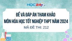 Đề thi và đáp án tham khảo môn Hóa học tốt nghiệp THPT 2024 - Mã đề 212