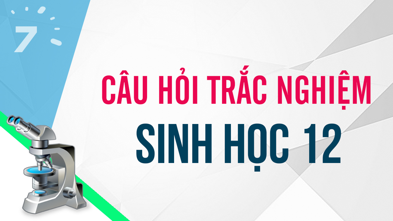 Quần thể là một tập hợp cá thể như thế nào